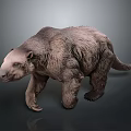 Realistic Sloth Model With Brown Fur Walking Posture And Detailed Texture