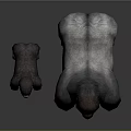 Realistic Adult and Baby Gorillas Standing 3D Render on Gray Background