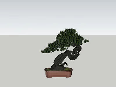 Bonsai Plant With Curved Trunk And Lush Green Foliage In Brown Pot 3d model