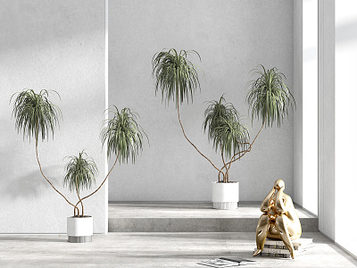 Modern potted plant combination model