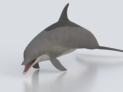 Gray Aquatic Dolphin Swimming in Ocean Water with Open Mouth and Fins 3d model