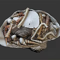 Modern Shell Sea Shell Sea Shell Sea Shell Sea Products 3d model