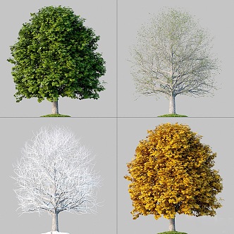 landscape tree winter tree four-season tree spring and summer tree 3d model