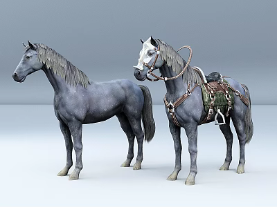 Two Gray Horses Standing Together One Without Gear And One With Saddle Harness 3d model