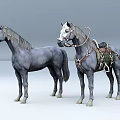Two Gray Horses Standing Together One Without Gear And One With Saddle Harness