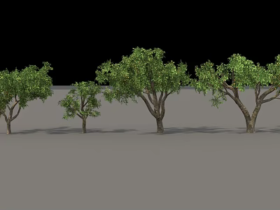Arbor Trees in Various Sizes Displaying Green Foliage and Natural Trunks 3d model