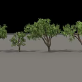 Arbor Trees in Various Sizes Displaying Green Foliage and Natural Trunks 3d model