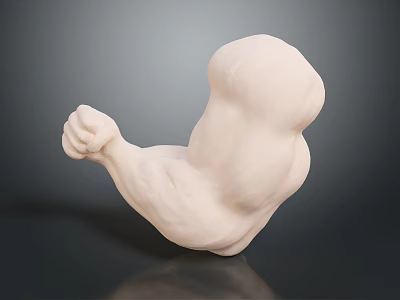 Detailed Anatomical Muscle Arm Model With Fist Pose White Sculpture Structure 3d model