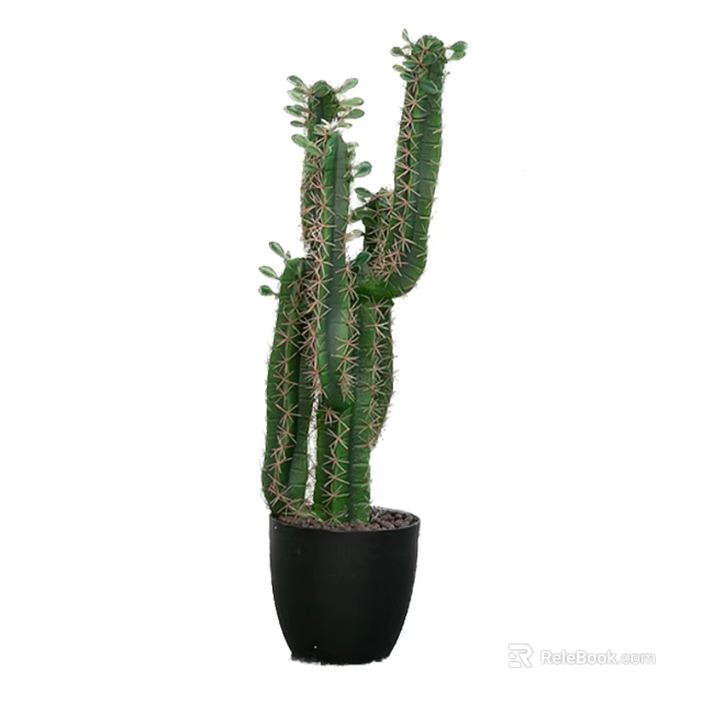 Tall Green Cactus Bonsai Potted Plant in Black Pot for Indoor Decoration 3d model 