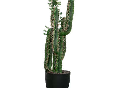 Tall Green Cactus Bonsai Potted Plant in Black Pot for Indoor Decoration 3d model