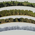 Natural Tree Backdrop Wall With Green Deep Green And Gray Foliage Scenes