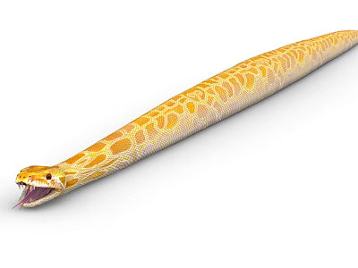 Detailed Yellow Reptile Snake With Intricate Patterned Skin And Open Mouth 3d model