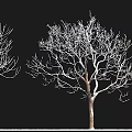 Various Arbor Tree Species Featuring Birch Camphor Maple and Ancient Varieties 3d model