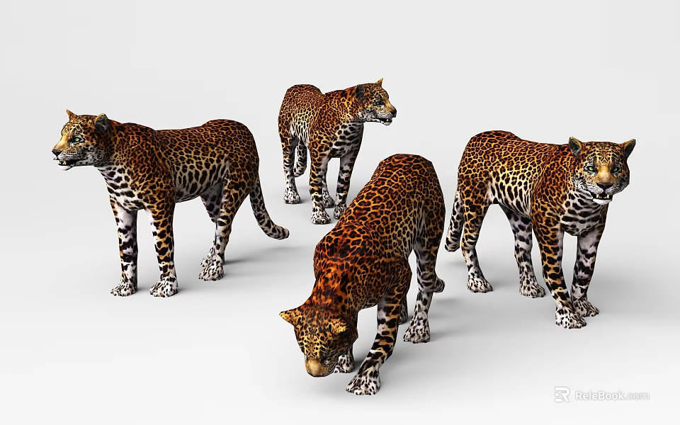Realistic 3D Leopard Models In Different Poses 3d model 