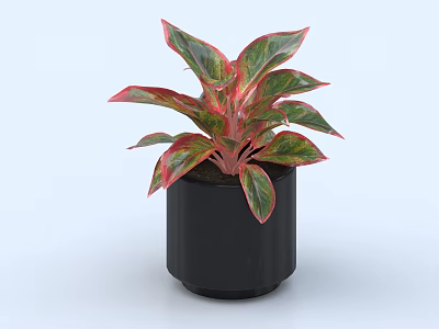 Vibrant Bonsai Potted Plant with Fresh Red and Green Leaves in Black Cylindrical Pot 3d model