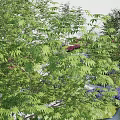 Green Garden Landscape Design With Winding Paths Colorful Flower Beds And Seating Areas