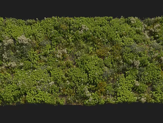 Shrubs preset flowers and plants 3d model