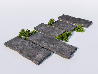 Garden Path Paving With Irregular Gray Stone Slabs And Green Plants 3d model