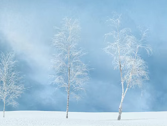 Modern Tree Winter Trees 3d model