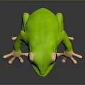 Realistic Vibrant Green Frog With Large Eyes In Sitting Pose On Black Surface