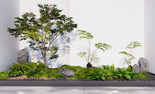 modern landscape sketch courtyard sketch plant pile landscape tree fern stone pebble bryophyte combination 3d model