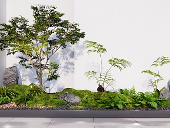 modern landscape sketch courtyard sketch plant pile landscape tree fern stone pebble bryophyte combination 3d model