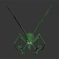 Green Insect Model With Shiny Surface Long Legs And Wings On Dark Background 3d model