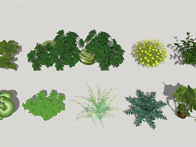 Modern Vegetable Vegetable Planting 3d model Modern Vegetable Vegetable Planting 3d model