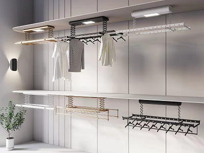 Modern Wall Mounted Clothes Hangers in Closet with Multiple Hooks and Rods Design 3d model