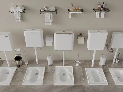 White Bathroom Fixtures Display Including Toilets Squat Toilets And Wall Mounted Shelves 3d model