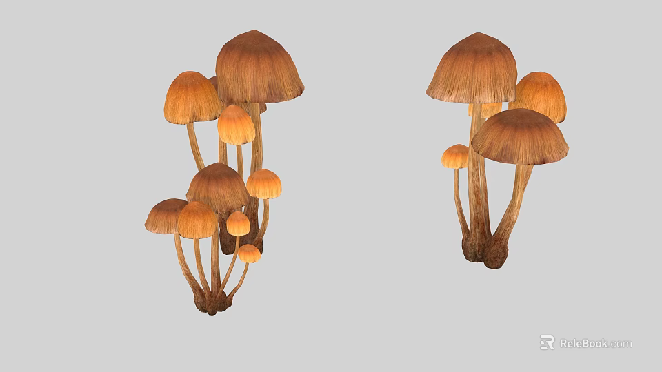 Natural Growing Mushroom Plants Featuring Brown Caps Slender Stems And Orange To Dark Brown Hues 3d model 