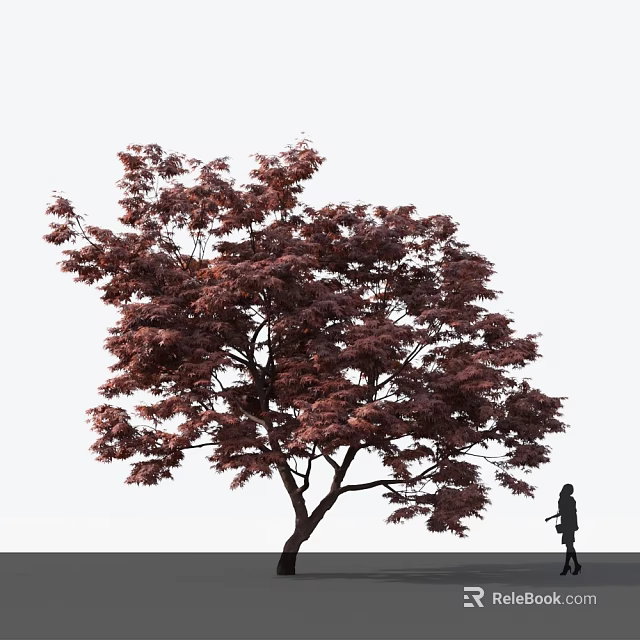 Tall Arbor with Purple Red Leaves and Silhouette of a Person Walking Nearby 3d model 
