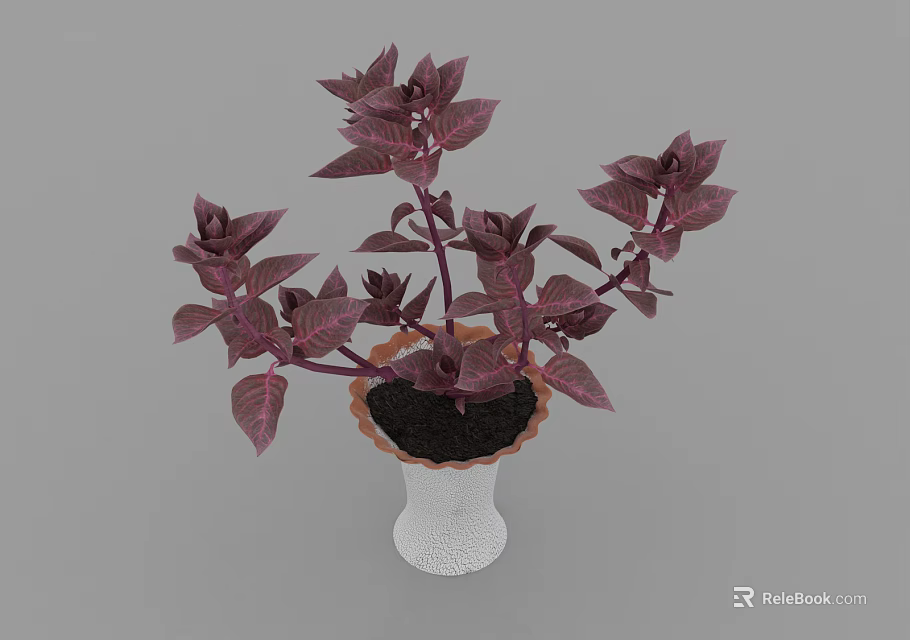 Bonsai Potted Plant With Purple Leaves In White Pot Brown Rimmed Edge For Indoor Decoration 3d model 
