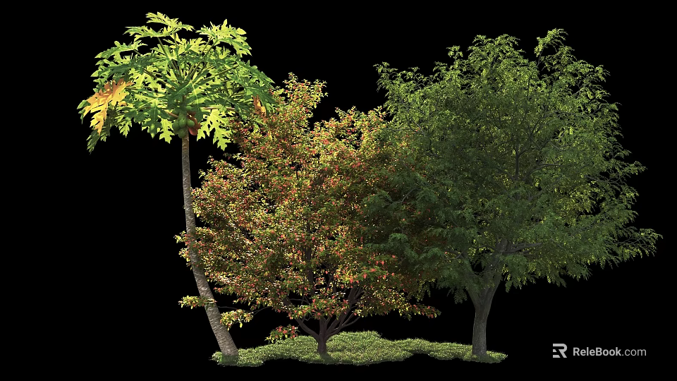 Tall Arbor Trees With Diverse Green Red And Orange Foliage In Lush Grass 3d model 