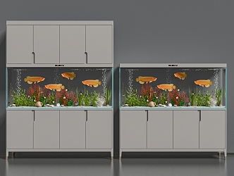 aquarium 3d model