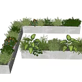 Various Green Plants And Orange Flowers In Modern White Rectangular Planters On Gray Floor
