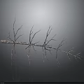 Dried Plant Branch With Thin Delicate Twigs Covered In Frost On Gray Background With Reflection