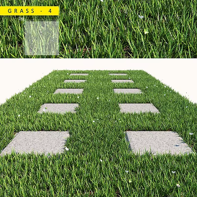 Decorative Ornament Set Featuring Green Grass And Square Stone Stepping Path 3d model