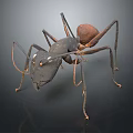 Detailed Black Ant Figure With Long Legs And Brown Abdomen On Dark Background