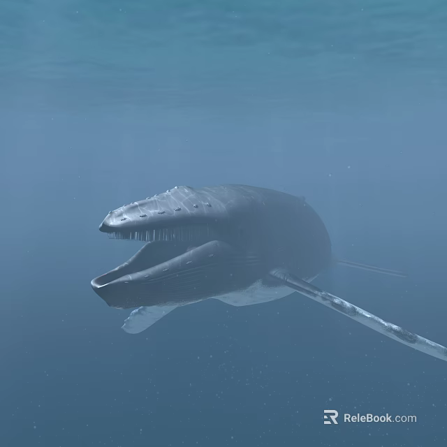Blue Whale Swimming Underwater With Open Mouth In Blue Ocean Water And Bubbles 3d model 