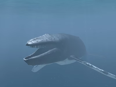 modern whale 3d model