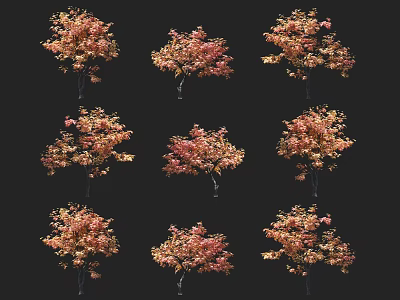 Multiple Autumn Deciduous Trees With Orange Yellow Leaves Isolated On Black Background 3d model