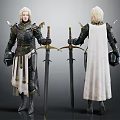 Armored Fantasy Characters With Golden Decorated Armor Swords And White Capes