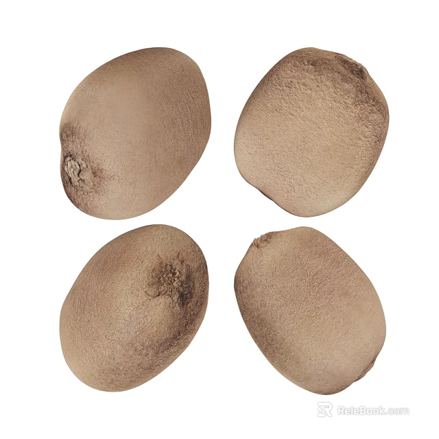 Fresh Ripe Kiwi Fruits With Brown Fuzzy Skin On White Background 3d model 