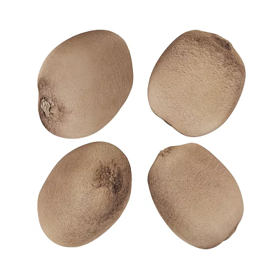 Fresh Ripe Kiwi Fruits With Brown Fuzzy Skin On White Background 3d model