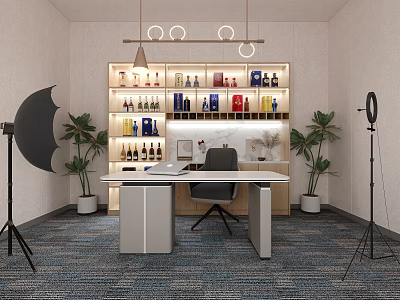 Modern Public Office Space With Desk Chair Bookshelf Books Potted Plants And Hanging Lights 3d model
