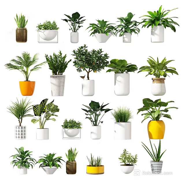 Indoor Potted Plants With Various Stylish Planters For Home Greenery Decor 3d model 