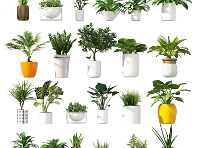 Indoor Potted Plants With Various Stylish Planters For Home Greenery Decor 3d model
