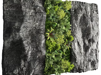 Living Plant Wall With Lush Diverse Green Plants Against Rock Background 3d model