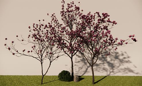 Modern Flower Tree Qiao Yulan 3d model